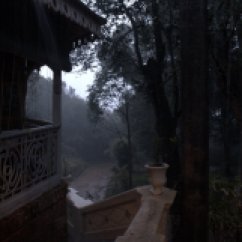 Heavy rains in the evening